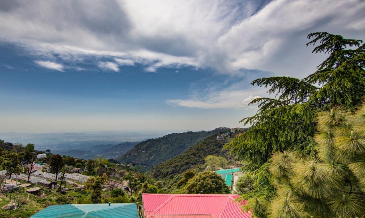 Treebo Roshan House With Valley View McLeod Ganj Dış mekan fotoğraf